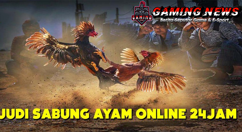 SV388: Arena Sabung Ayam Online Terbesar dan Terpercaya