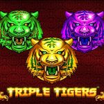 Slot Triple Tigers: Pesonanya Lebih dari Sekadar Game