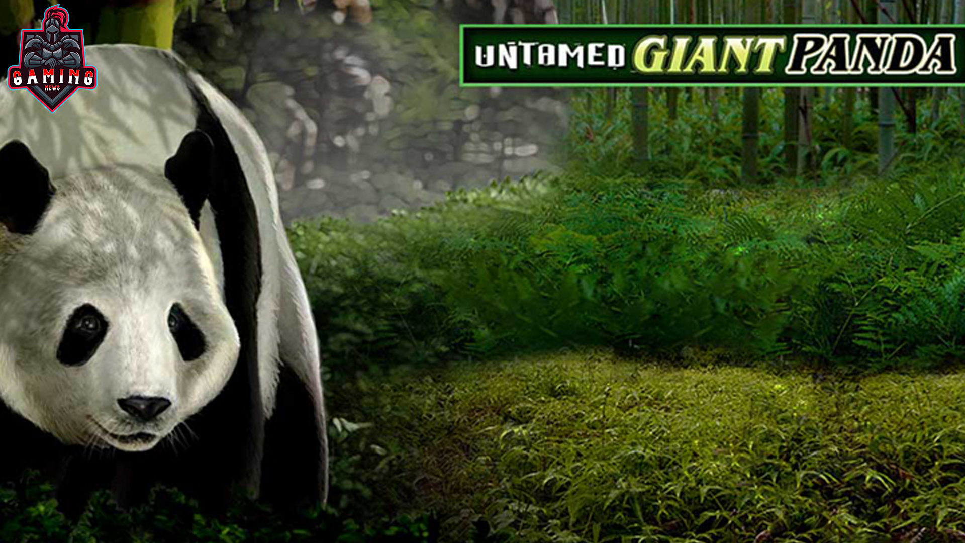 Untamed - Giant Panda: Slot Panda Imut yang Bikin Dompet Tebal